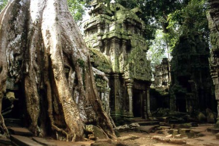 Angkor - Ta Prhom